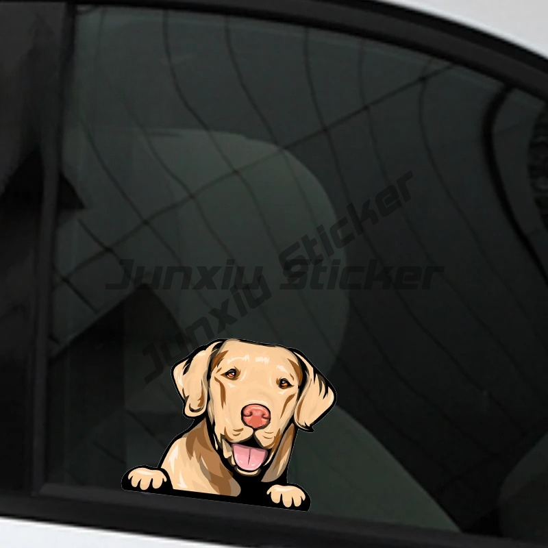 Adesivos de Cachorro Labrador  - Yellow Laptop Accessories avaliação e preço