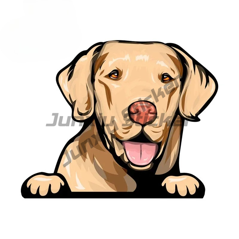 Adesivos de Cachorro Labrador  - Yellow Laptop Accessories avaliação e preço